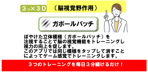3×3D視力回復トレーニング