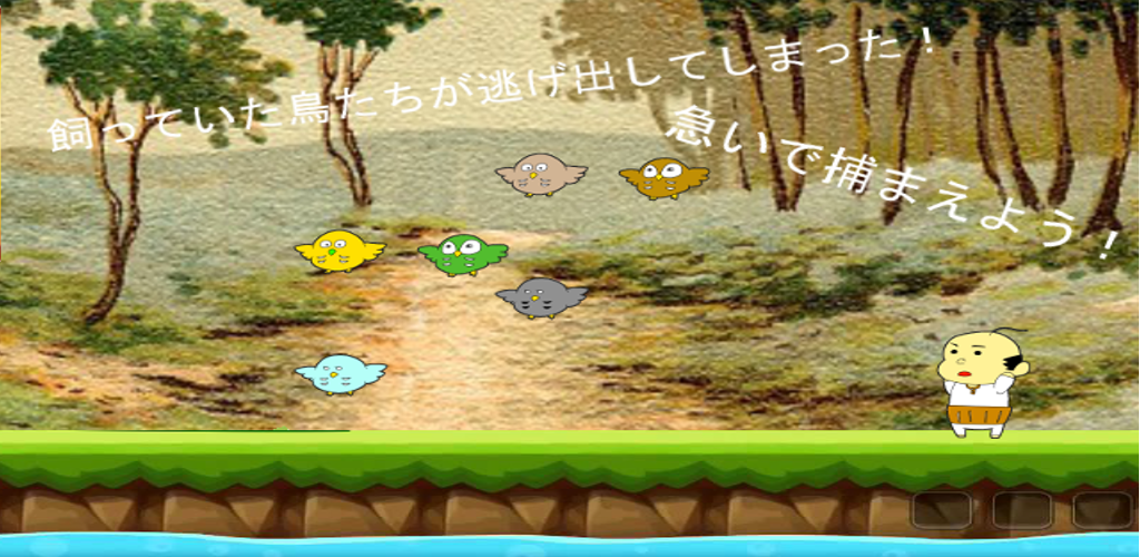 おらの鳥さどこいった!?