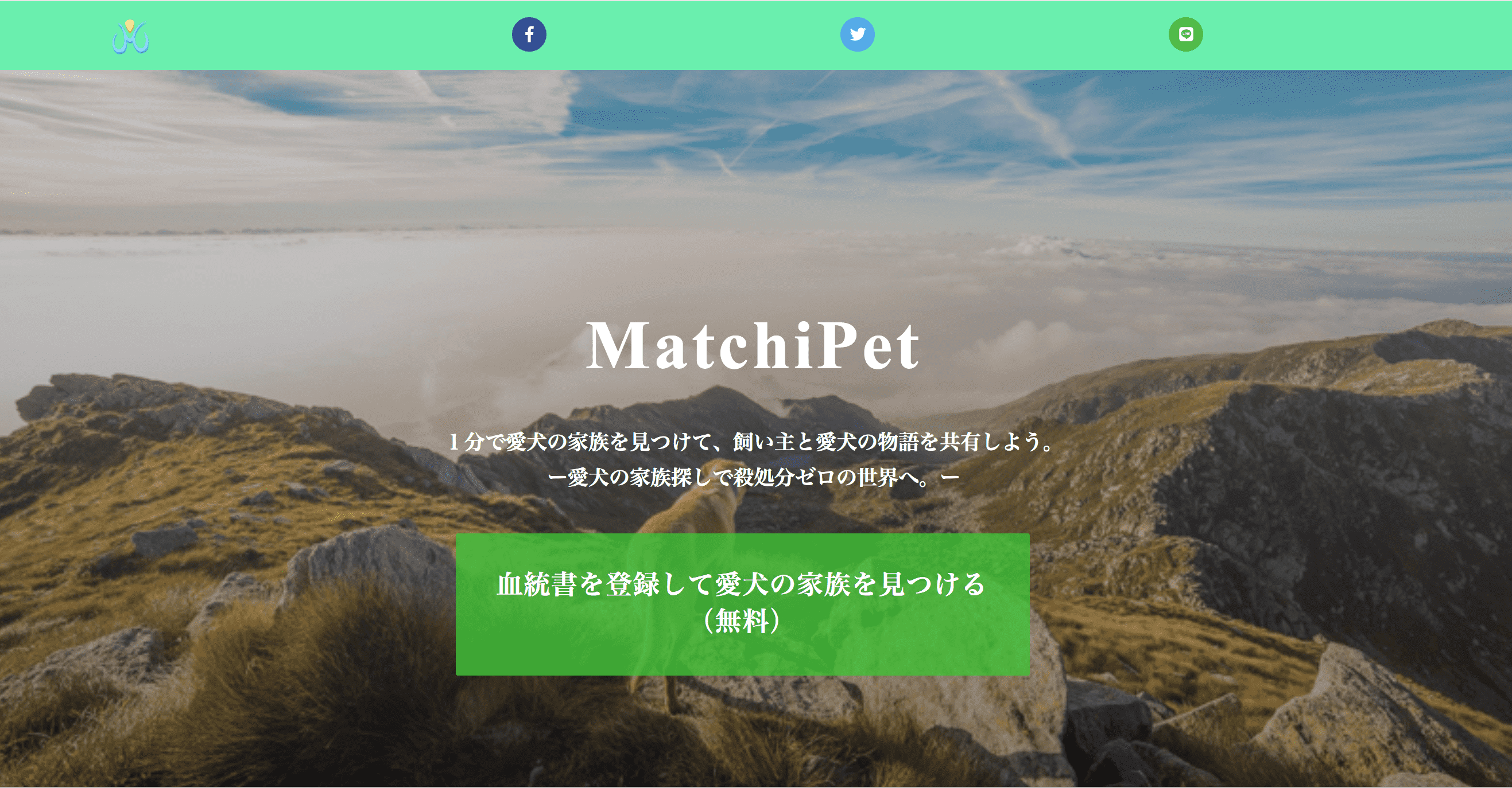 MatchiPet